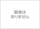 西武ホールディングス株主優待券・乗車券500株以上1000株未満</a></h3>
                        