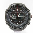 otaichi:10570583
