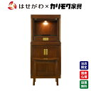 hasegawa-ec:10008701