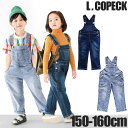 shop-sir:10009332