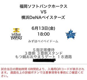 交流戦 6月13日 ソフトバンクVSベイスターズ S指定席 みずほペイペイドーム 金</a></h3>
                        
