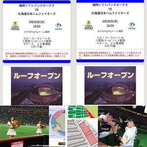 5/28ソフトバンクホークスVS北海道日本ハムファイターズ　コカコーラシートペア　paypayドーム</a></h3>
                        