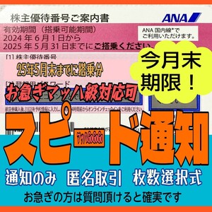 ANA 毎日10分スピード通知 発送無 GW使用可 全日空 株主優待券 バラ売 1枚/2枚/3枚/4枚/5〜9枚 国内 航空券 搭乗期限25年5月末まで(26b</a></h3>
                        