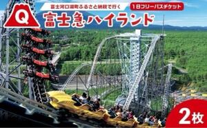 富士急ハイランド　ペアチケット</a></h3>
                        