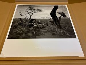 杉本博司　HIROSHI SUGIMOTO 限定ポスター 『ハイエナ、ジャッカル、コンドル』</a></h3>
                        