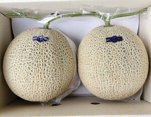 ☆高知産☆５，０Kg以上☆　大玉　温室マスクメロン☆☆　２玉入り　☆秀品☆美品☆☆☆　</a></h3>
                        
                        