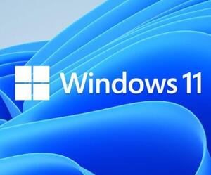 【認証保証】windows 11 pro プロダクトキー 正規 32/64bit サポート付き 新規インストール/HOMEからアップグレード対応</a></h3>
                        