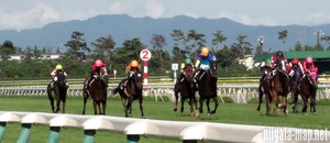 ★★とてつもない競馬商材！ 競馬初心者でも競馬で的中し利益をだす究極の方法！スーパーバージョン！（通常バージョン　芝）</a></h3>
                        