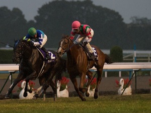 ◎◎【競馬歴３０年】誰もが勝ててしまう不思議な馬連２〜４点馬券術！（競馬初心者でも勝てます。）</a></h3>
                        