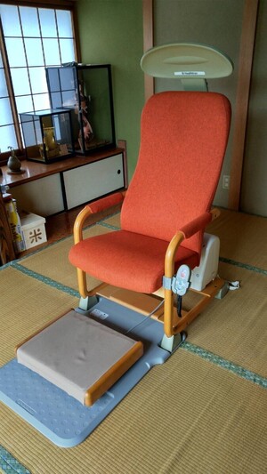 白寿生科学研究所 /ヘルストロン（Healthtron）HEF-H9000 家庭用電位治癒器</a></h3>
                        
                        