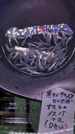 【爆卵計画】黒ラメ サファイア ヒレナガ♂40匹 ♀15匹 +α選別調教済み 死着補償あり 産卵開始！メダカ めだか </a></h3>
                        