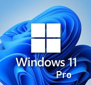 【永年正規認証保証】 Windows 11 Pro 64bit 正規プロダクトキー 32/64bit サポート付き 新規インストール/HOMEからアップグレード対応</a></h3>
                        