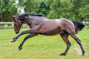 ★☆ 大勝利宣言！歴代最強！納得の馬単３〜５点競馬術！(競艇、競輪、パチンコ等、キャンブルの好きな方も、必見）★☆</a></h3>
                        