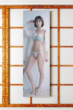 岡田紗佳/等身大サイズ/ダブルスエード生地/上質/タペストリー</a></h3>
                        
                        
