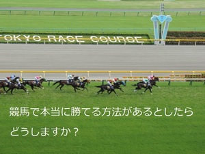 ★競馬で本当に勝てる方法があるとしたらどうしますか？★かつ確実に利益を上げる競馬手法！（競艇ファンも必見）★</a></h3>
                        