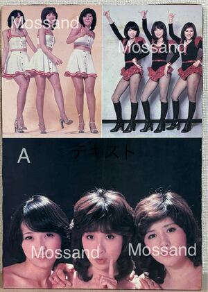 ?　キャンディーズ　木製パネルポスター3枚セット　#Ran #Sue #Miki #ラン ＃スー ＃ミキ </a></h3>
                        