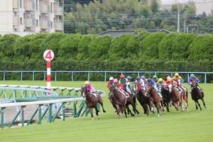 ★☆★三連複６点で回収率２００％確実　競馬手法！JRA限定【まとめ買い可能】★（競艇、競輪より競馬です！）</a></h3>
                        