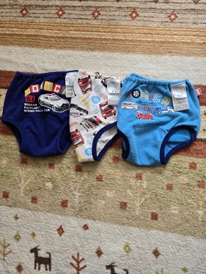 トミカトレーニングパンツ3枚　100サイズ</a></h3>
                        
                        