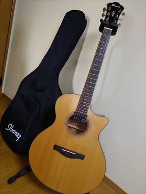 Ibanez アイバニーズAE325-LGS マグ+ピエゾのデュアルピックアップ、ステレオ出力可能</a></h3>
                        
                        