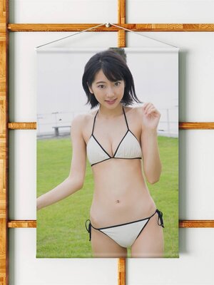 武田玲奈/B2サイズ/ダブルスエード生地/上質/タペストリー</a></h3>
                        
                        