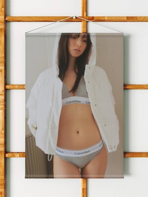 齋藤飛鳥/B2サイズ/ダブルスエード生地/上質/タペストリー</a></h3>
                        
                        