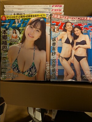 週刊プレイボーイ　２０２３年　４0冊セット＋３６号増刊　ＤＶＤ未開封 　大原優乃　沢口愛華　冨里奈央　高城れに　菊地姫奈</a></h3>
                        