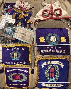優勝レイ 競馬 優勝馬 競走馬 まとめて　中国　韓国　香港</a></h3>
                        
                        