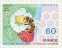 yamabun-r:10007135