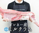 tokyo468syokuzai:10001012