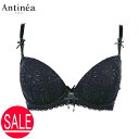 auc-carlina:10007738