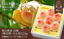 f332071-ibara:10000521
