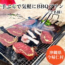 f473065-nakijin:10000317