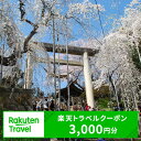 f062138-nanyo:10000313